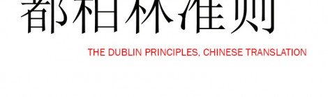 都柏林准则 The Dublin Principles